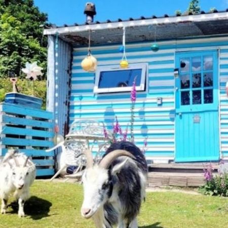 Hotel Treguth Glamping Unique Experience - Themed Huts Saint Day Exteriér fotografie