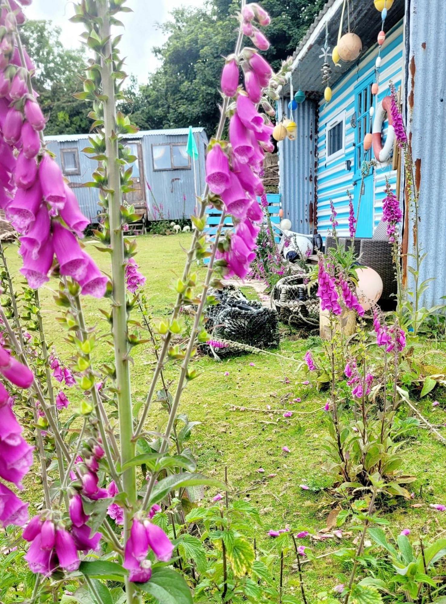 Hotel Treguth Glamping Unique Experience - Themed Huts Saint Day Exteriér fotografie
