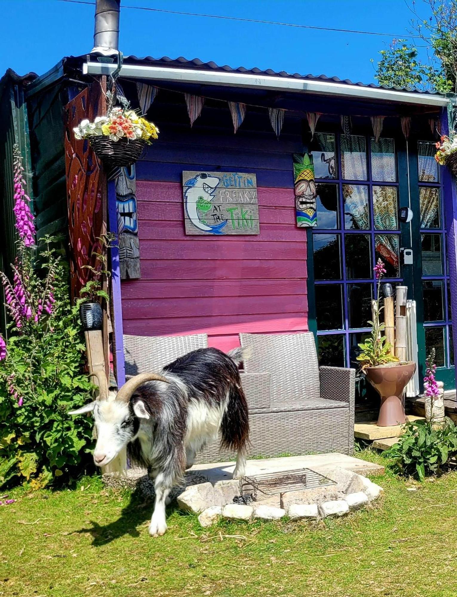 Hotel Treguth Glamping Unique Experience - Themed Huts Saint Day Exteriér fotografie