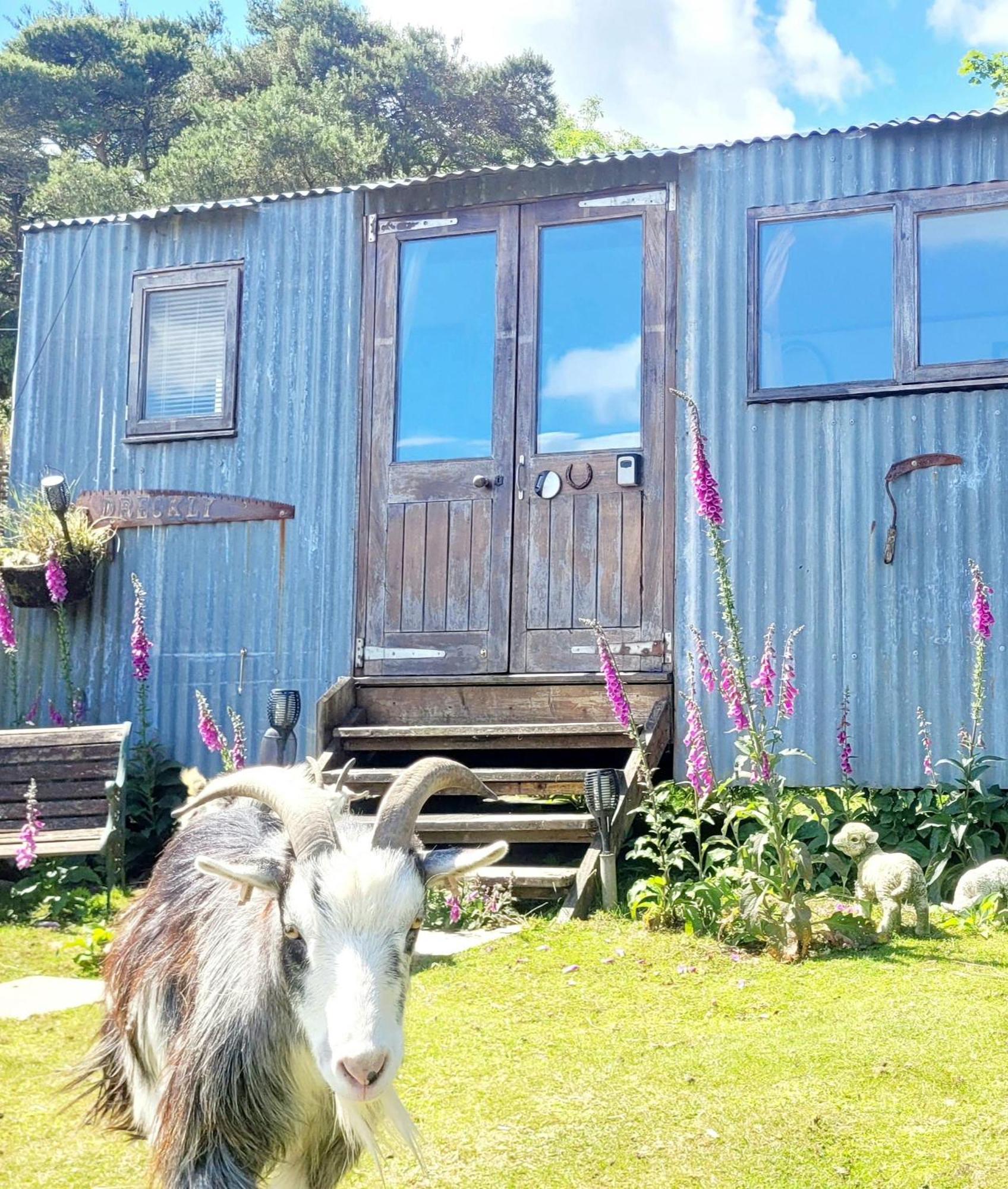 Hotel Treguth Glamping Unique Experience - Themed Huts Saint Day Exteriér fotografie
