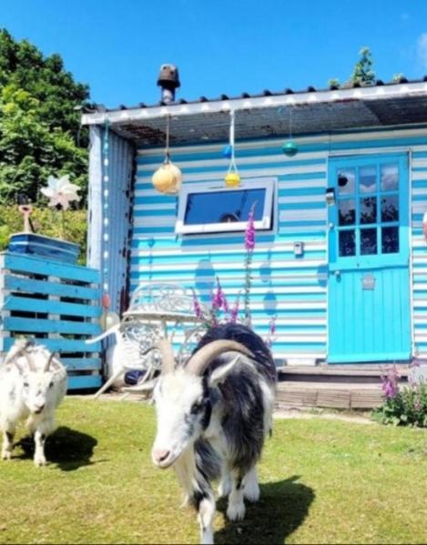 Hotel Treguth Glamping Unique Experience - Themed Huts Saint Day Exteriér fotografie